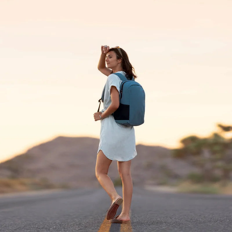 Travelon The Voyages Anti-Theft Day Pack