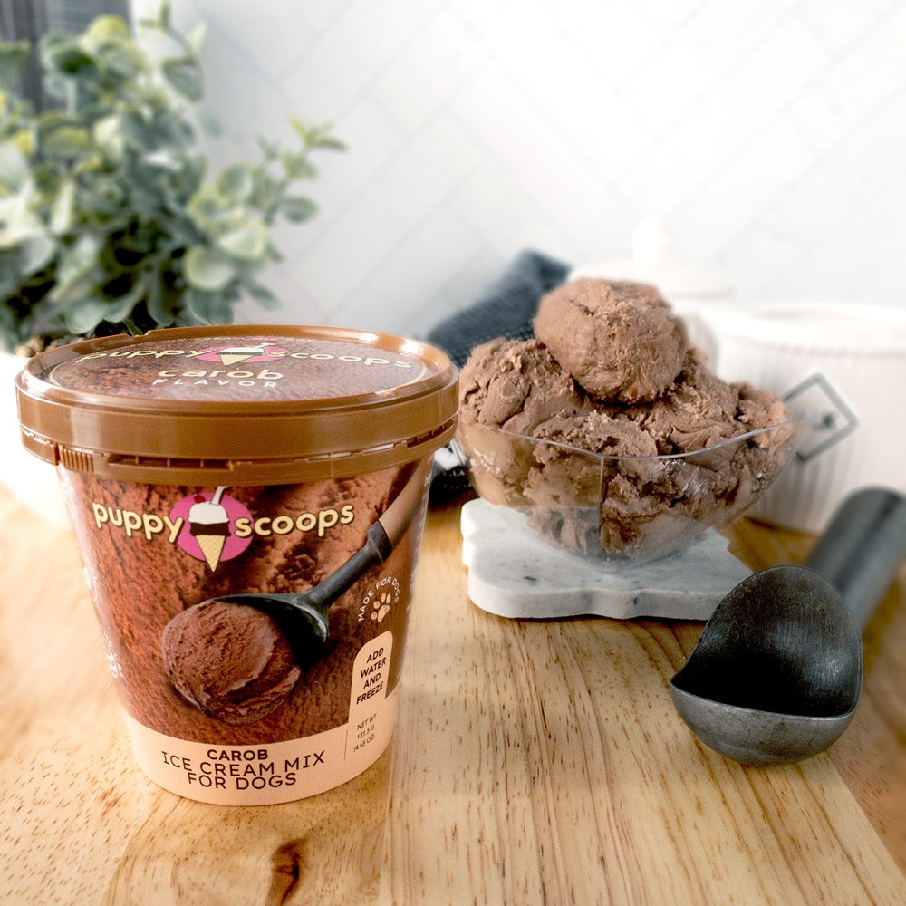 Puppy Cake Puppy Scoops Ice Cream Mix - Carob, Pint Size, 4.65 oz - 8.1.2025 Expiration Date