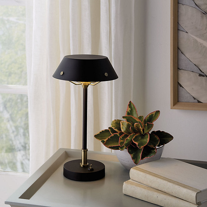 Ballard Designs Terry LED Lamp