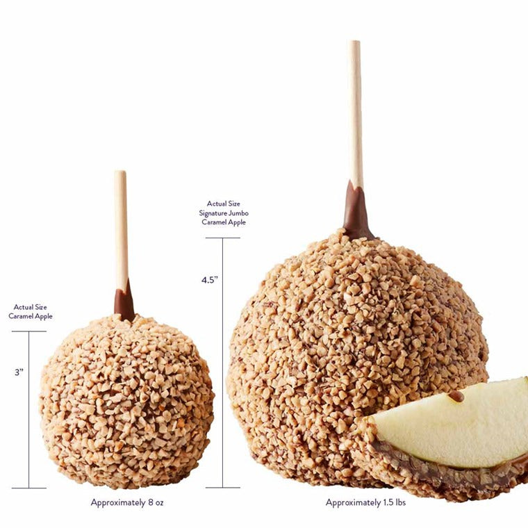 Mrs Prindables Toffee Walnut Peacock Jumbo Caramel Apple