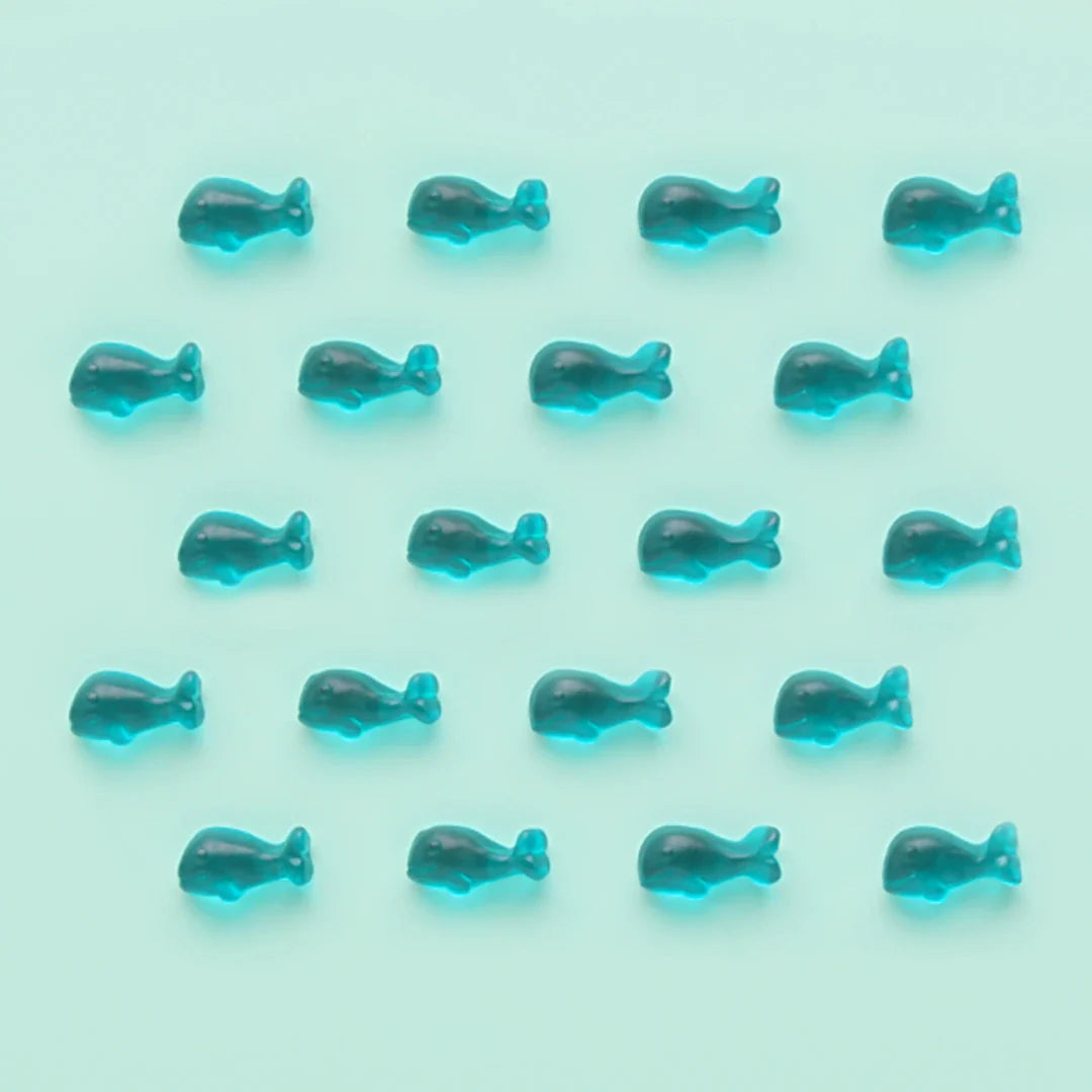 Sugarfina Baby Whales Blueberry Gummy - 2.5 LB Bulk Bag