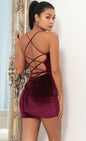 Lucy In The Sky Cowl Neck Velvet Dress in Wine