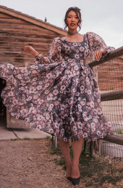 JessaKae Persephone Dress - Black
