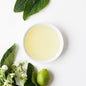 Bramble Berry Kukui Nut Oil