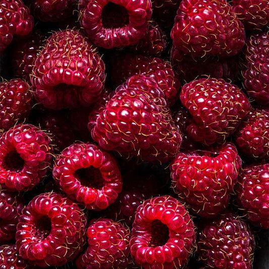 Bramble Berry Black Raspberry Vanilla Fragrance Oil