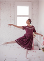 JessaKae Women's Rosedale Dress