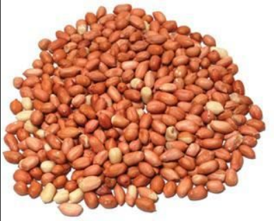 Sun Organic Farm Peanuts, Raw Organic, w/ skin - BACK IN STOCK!