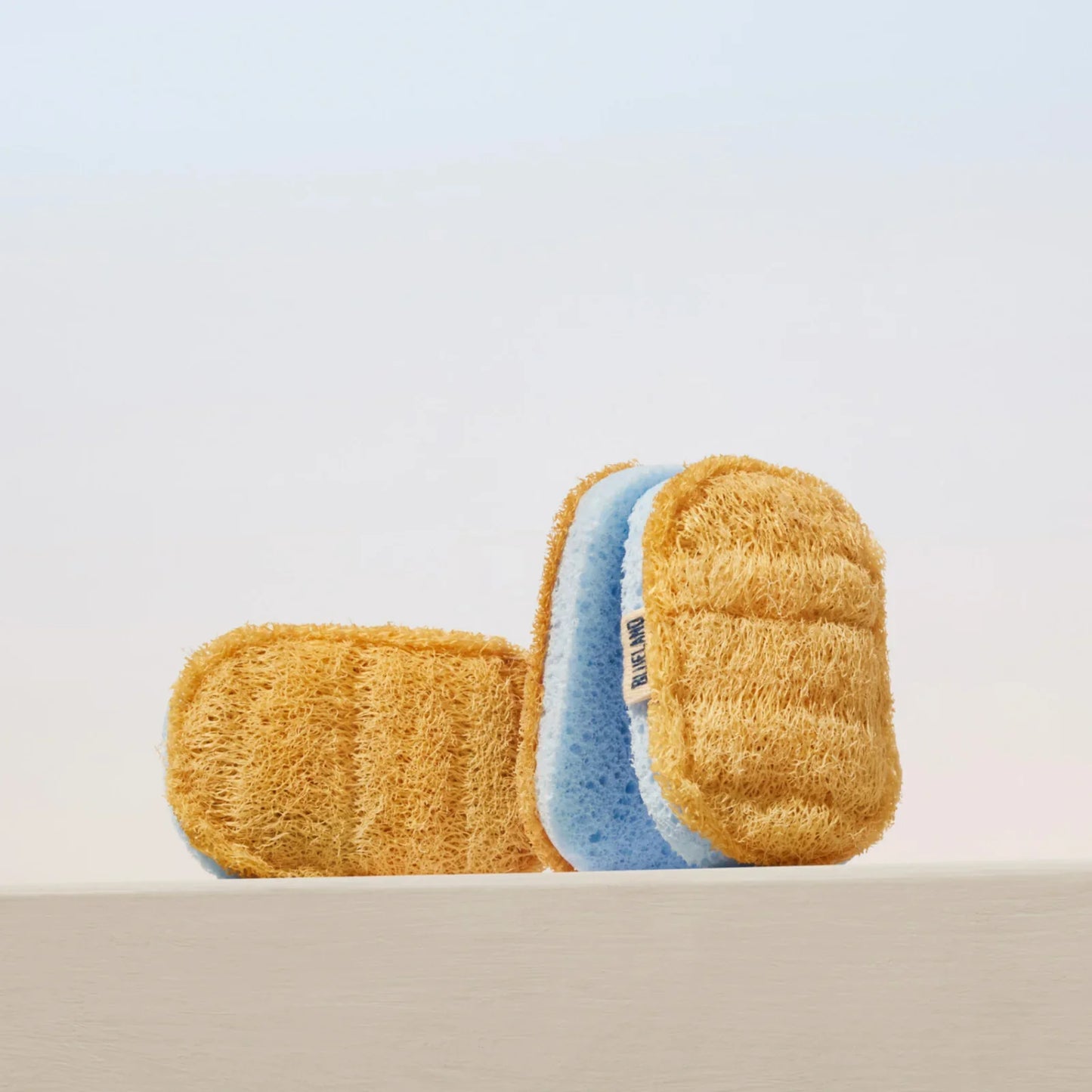 Blueland Scrub Sponge