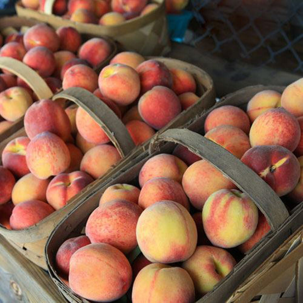 Bramble Berry Southern Peach Fragrance Oil