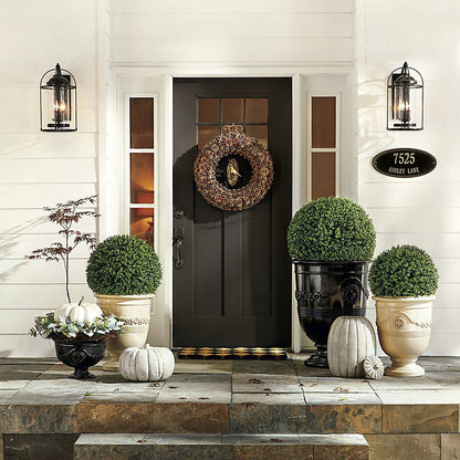 Ballard Designs Verano Outdoor Sconce