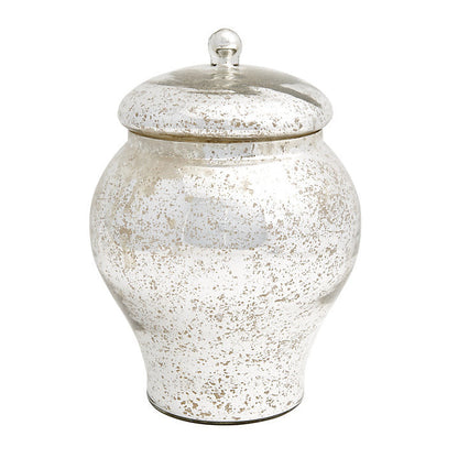 Ballard Designs Mercury Glass Vases