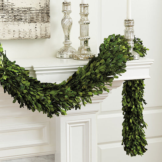 Ballard Designs Preserved Boxwood Garland
