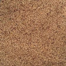 Sun Organic Farm Red Clover Seed - Organic